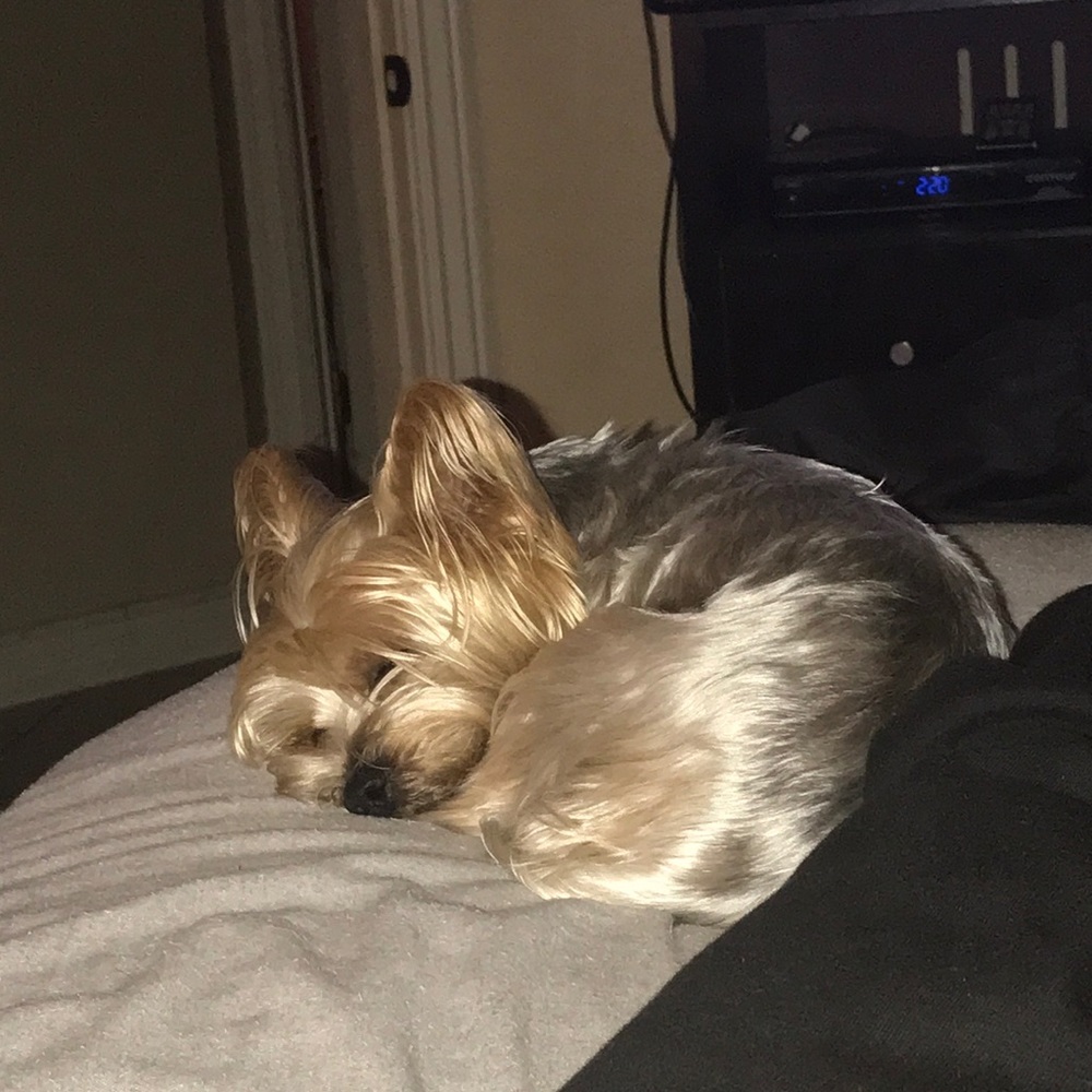 Meet your Posher, Christina